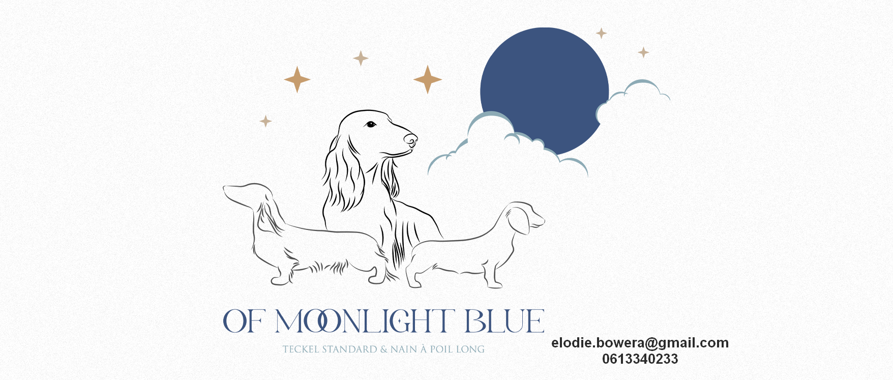 Of Moonlight Blue