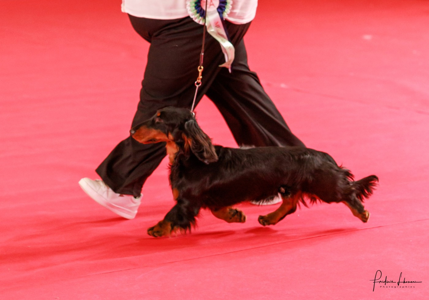 hillberry Licorice lane sl