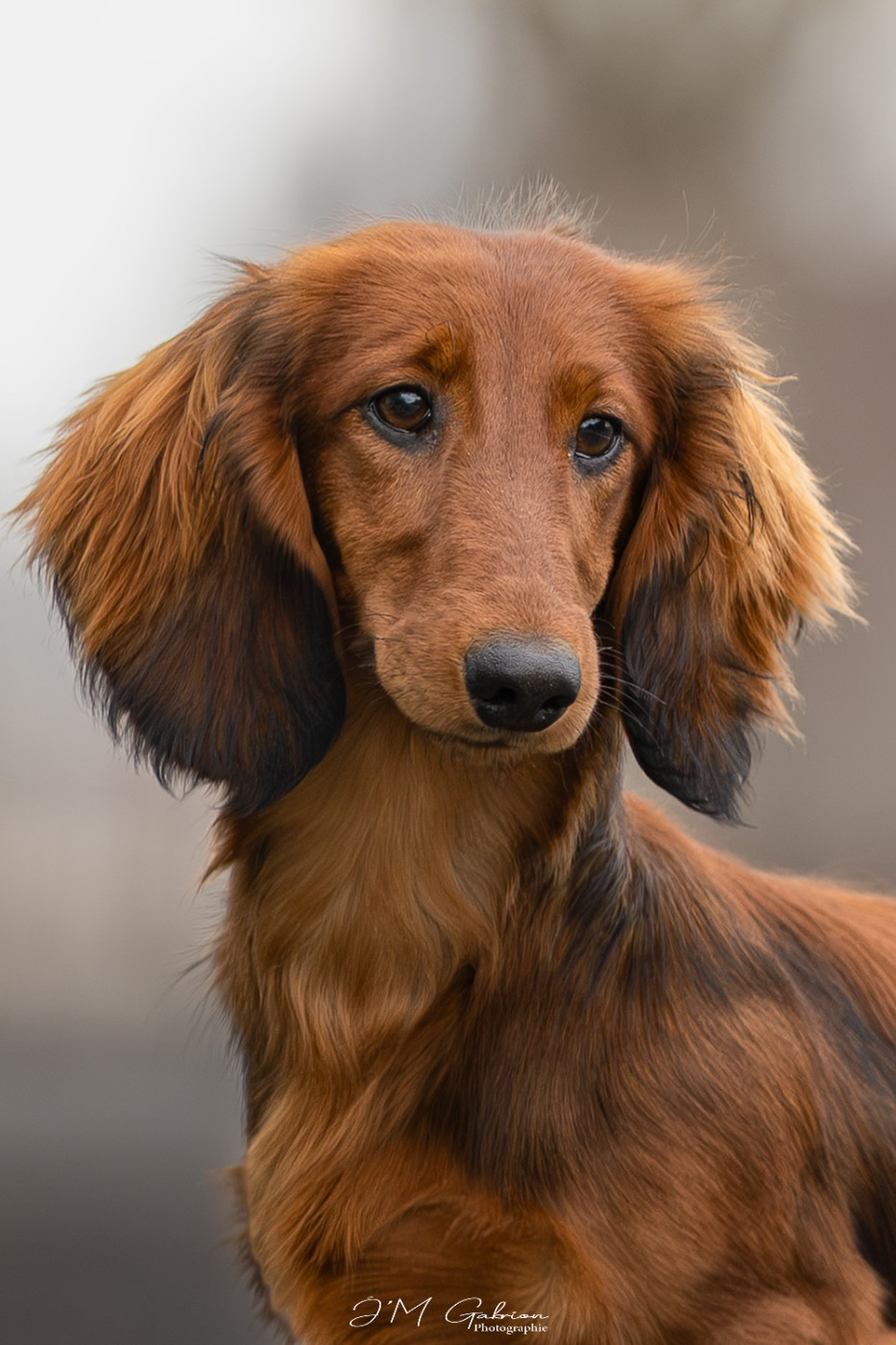 Addison Of Moonlight Blue