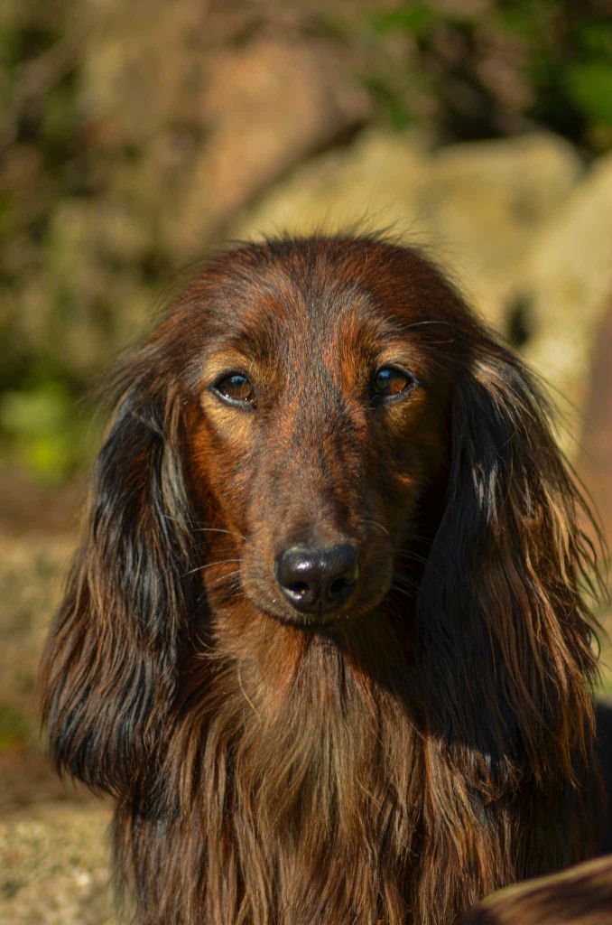 Littl Fut Only yours