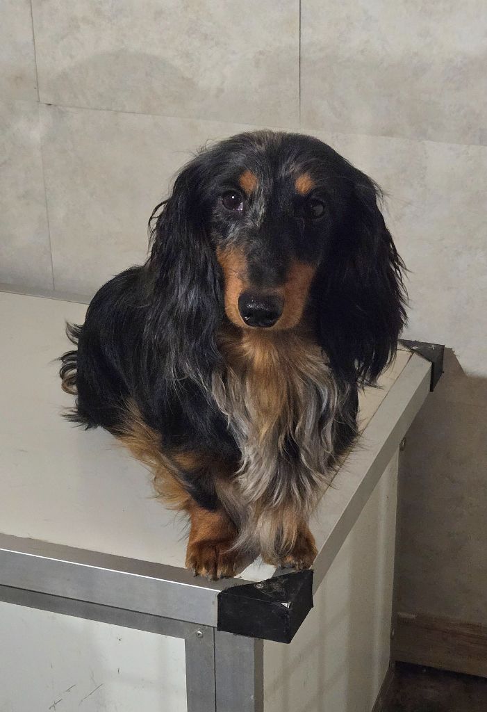 Vraiment charmant du domaine de luard